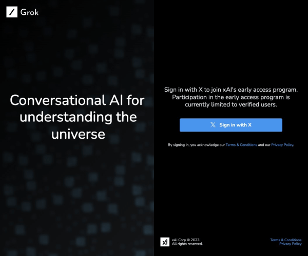Grok website preview
